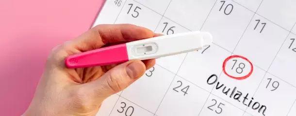 Calendario con los días fértiles de una mujer marcados y una prueba de embarazo